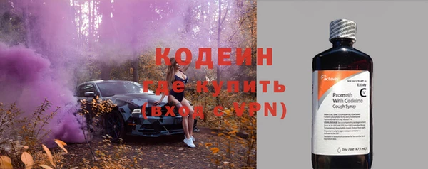 твердый Инта