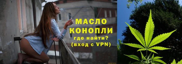 твердый Инта
