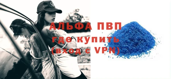твердый Инта