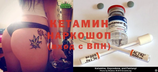сатива Инсар