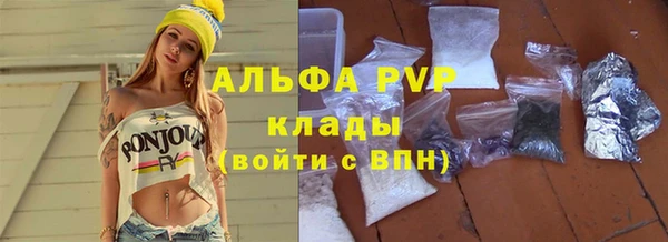 сатива Инсар