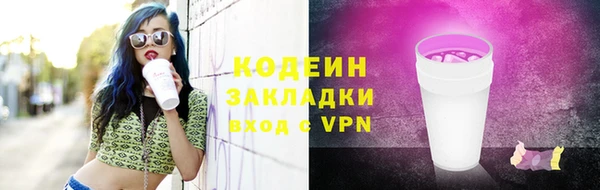 сатива Инсар