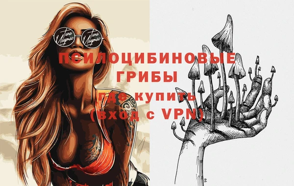 твердый Инта