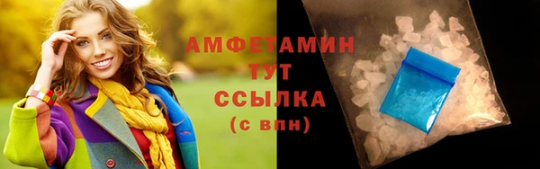 сатива Инсар