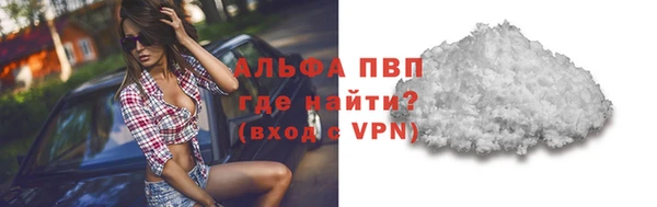 твердый Инта