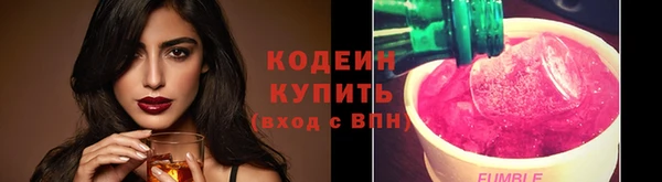 твердый Инта