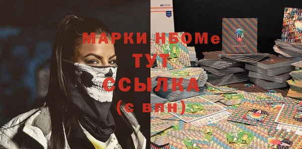 твердый Инта