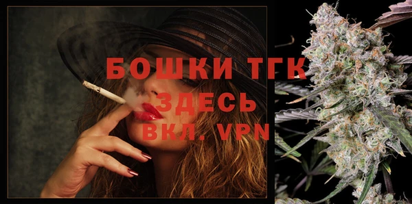 сатива Инсар