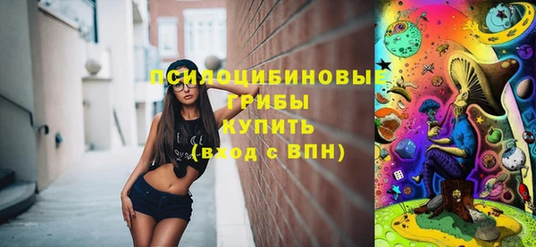 сатива Инсар