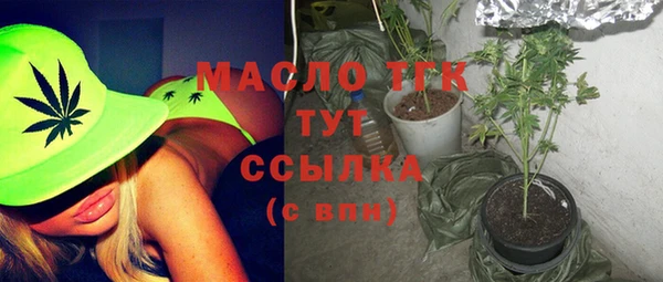 сатива Инсар