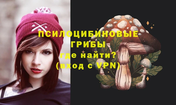 сатива Инсар