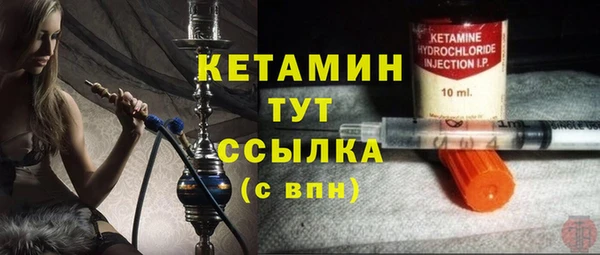 сатива Инсар