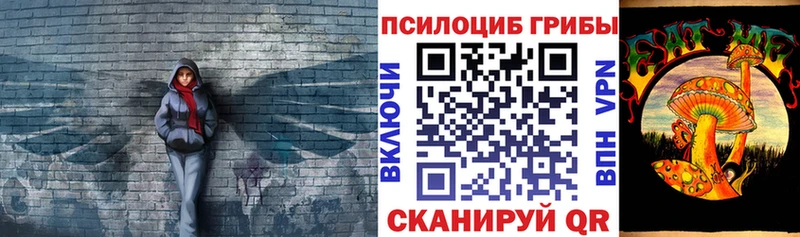 Псилоцибиновые грибы Magic Shrooms  Купить  Новоалтайск 